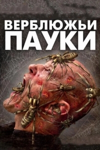 Верблюжьи пауки