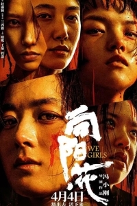 Мы, девочки