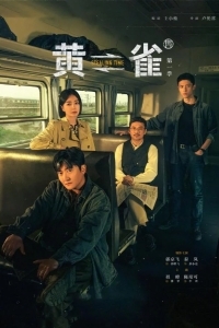 Будь начеку / Украденное время / Чиж