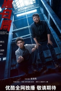 Развилка к правде / Игра в черное и белое / Чёрно-белое бюро