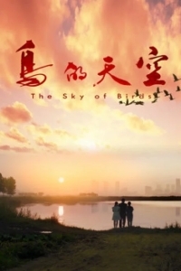 Небо для птиц