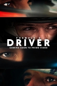 Формула Е: Пилот