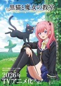 Чёрная кошка и класс ведьм