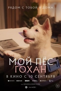 Постер Мой пёс Гохан
