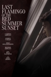 Последний фламинго красного летнего заката