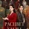 Постер Расцвет силы