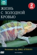 BBC: Жизнь с холодной кровью