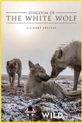 Королевство белого волка