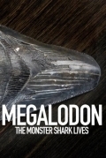 Акула-монстр: Мегалодон жив