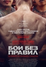 Постер Бои без правил