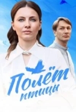 Полёт птицы