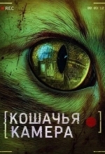 Постер Кошачья камера