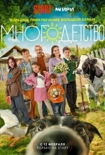 Постер Многодетство