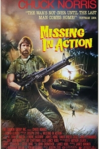 Без вести пропавшие