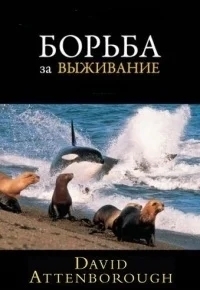 BBC: Борьба за выживание
