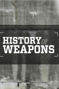 История оружия