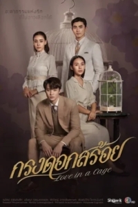 Клетка для нее