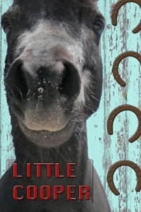 Маленький Купер